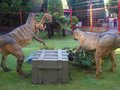 Combe Martin Wildlife & Dinosaur Park image 3