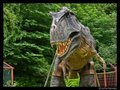 Combe Martin Wildlife & Dinosaur Park image 5