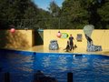 Combe Martin Wildlife & Dinosaur Park image 6