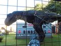 Combe Martin Wildlife & Dinosaur Park image 7