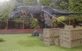 Combe Martin Wildlife & Dinosaur Park image 1