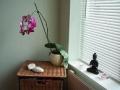Complementary and Beauty Therapies image 1