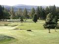 Comrie Golf Club Restaurant logo