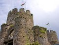 Conwy Castle image 10