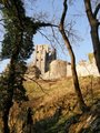 Corfe Castle image 7