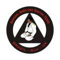 Cornwall BJJ logo