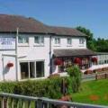 Cothi Bridge Hotel image 8