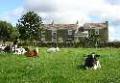 Cowclose Barn (The Robins) image 4