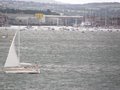 Cowes image 3