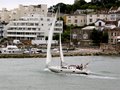 Cowes image 4