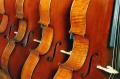 Cremona House Violins (BRISTOL) image 5