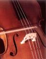 Cremona House Violins (BRISTOL) image 6