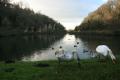 Creswell Crags image 7