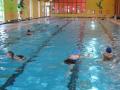 Crewkerne Aqua Centre image 5