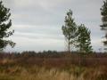 Culloden Battlefield image 3