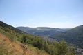 Cwmcarn Forest Drive logo