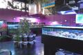 Cyber Aquatics ltd image 3