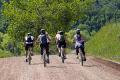 Cycle Adventure - Mountain Bike Hire, Guiding, Skills Courses and Holidays image 5