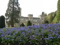 Cyfarthfa Castle image 9