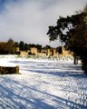 Cyfarthfa Castle image 10