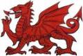 D.C.S. Wales logo