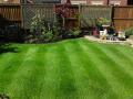 DG Garden Services, Chorley and Preston image 2