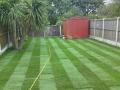 DG Garden Services, Chorley and Preston image 3