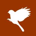 Dabster Wild Bird Care logo