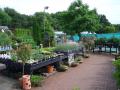 Daisy Nook Garden Centre image 3