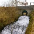 Dare Valley Country Park image 3