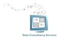 Data Consultancy Services logo