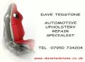 Dave Tedstone Automotive Trimmer logo