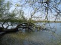 Daventry Country Park image 3
