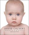 David Calvert Photography image 2