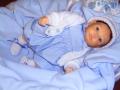 Daydream Dolls  Doll,Teddy Bear Hospital and Makers image 3