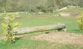 Deer Park Cross Country Course (Equestrian Centre) image 6