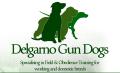 Delgarno Gun Dogs logo