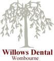 Dentist Willows dental logo