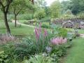 Derbyshire Garden image 3