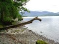 Derwentwater Hotel | Coast and Country Hotels image 3