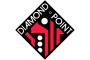 Diamond Point International (Europe) image 2