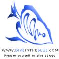 Diveintheblue image 1