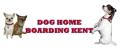 Dog Home Boarding Kent image 8