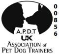 Dog training @ Pet Behaviour Scotland image 4