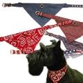 Doggie Fashions Ltd image 10