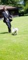 Dogs at your Wedding image 2