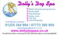 Dollys Dog Spa image 3