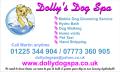 Dollys Dog Spa image 3