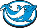 Dolphin Designs logo