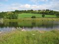 Donaldsons Fishery and Lake ( Trout Fishing in Holywood, Co Down, Ireland ) image 4